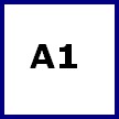 A1